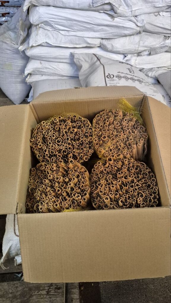 دارچین سیگاری